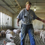 The AI Data Center Boom Is Making Farmers Rich: Why Energy is the Real Winner