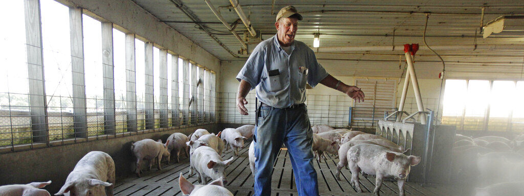 The AI Data Center Boom Is Making Farmers Rich: Why Energy is the Real Winner
